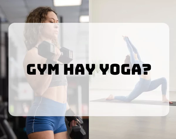 nen-tap-gym-hay-yoga-de-giam-mo-bung-va-giam-can-nhanh-1