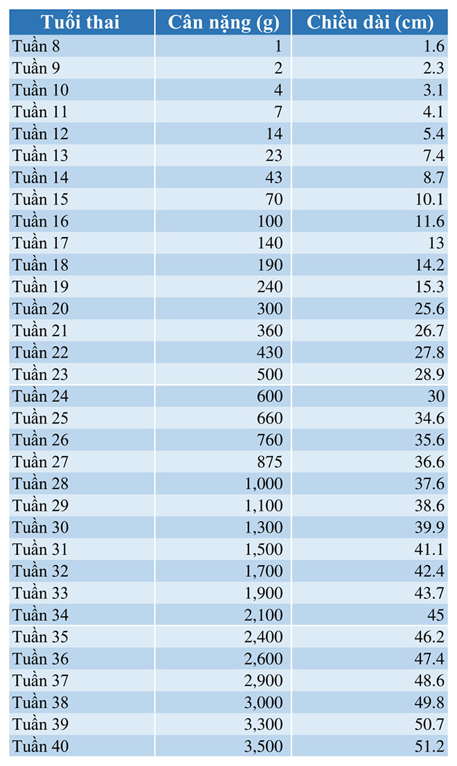 Bảng cân nặng thai nhi theo chuẩn WHO