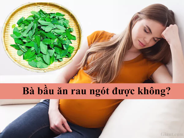 Mới có bầu ăn rau ngót được không?